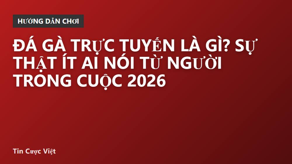 Đá gà trực tuyến là gì? Sự thật ít ai nói từ người trong cuộc 2026